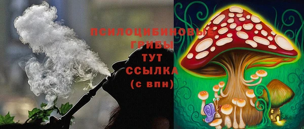 2c-b Костерёво