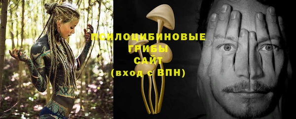 MESCALINE Коряжма