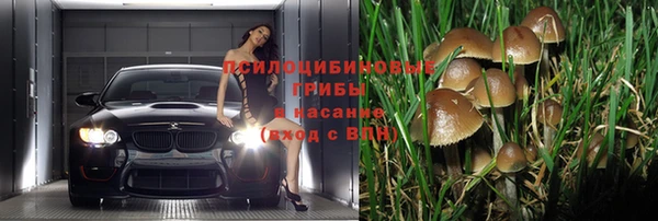 2c-b Костерёво