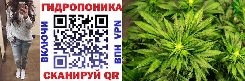 где найти   Лабытнанги  Конопля марихуана 